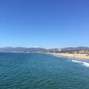 Meet your Posher, Maddie